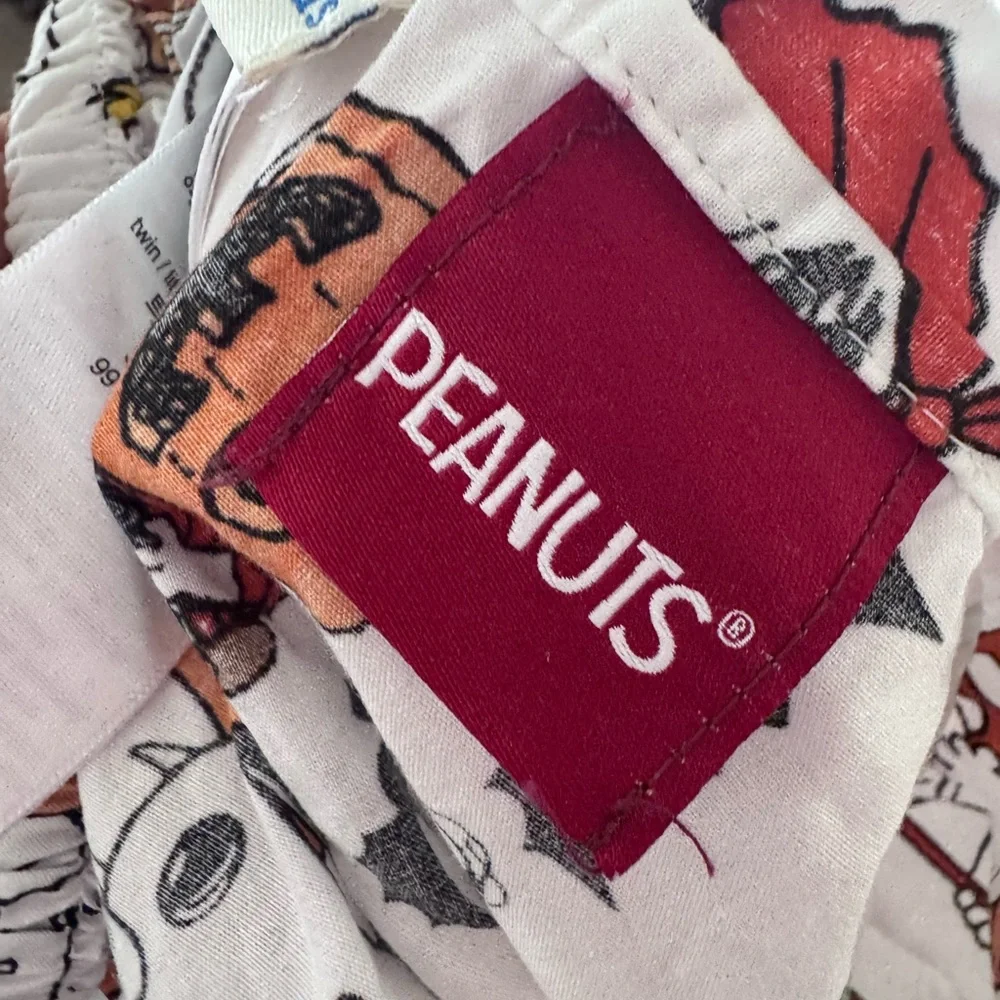 Pottery Barn kids Peanuts Snoopy HALLOWEEN sheet
